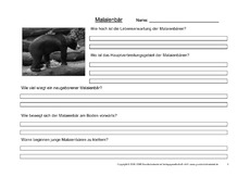 Malaienbär-Fragen-3.pdf